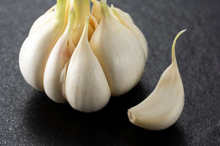 Freshly harvested raw garlic, undriedの写真素材