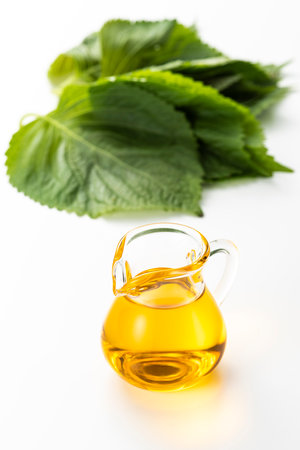Perilla oil, edible vegetable oil derived from perilla seeds. Egoma oil.の写真素材