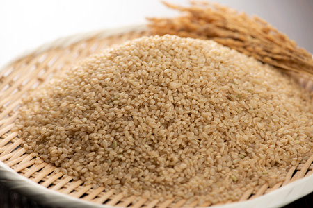 Not rice-milling brown rice. close-up.の写真素材