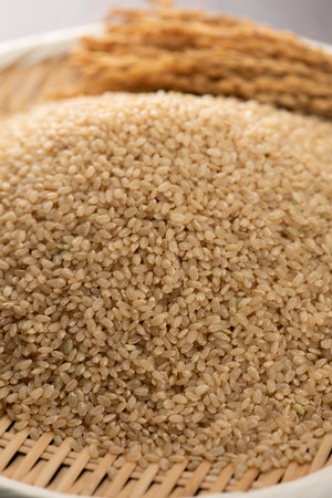 Not rice-milling brown rice. close-up.の写真素材