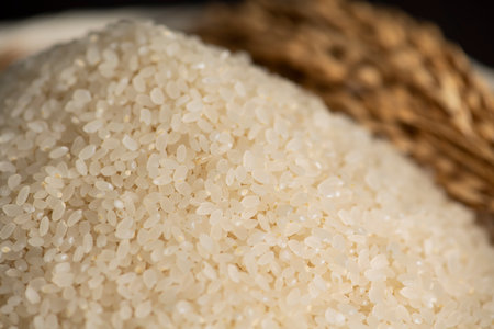White rice "Hakumai" is polished brown rice.の写真素材