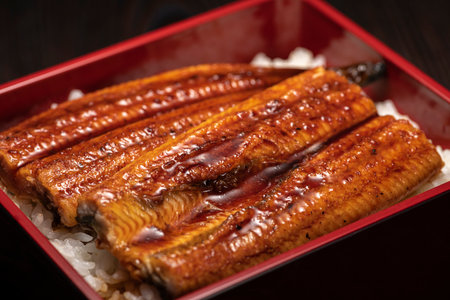 Una-juu. Grilled Eel rice in japanese square box tablewareの写真素材