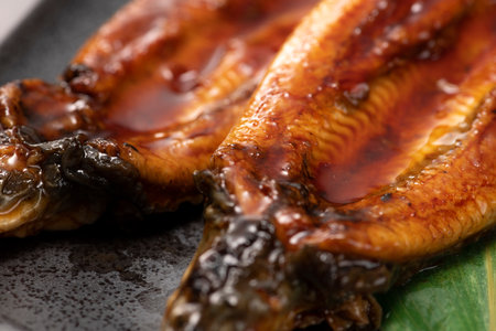 Unagi Kabayaki. Grilled eel on a plate.の写真素材