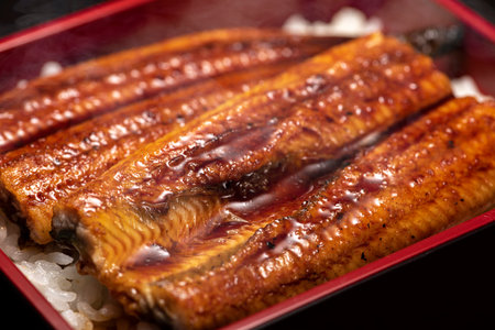 Una-juu. Grilled Eel rice in japanese square box tablewareの写真素材