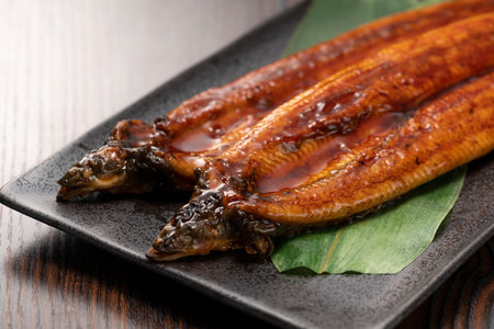 Unagi Kabayaki. Grilled eel on a plate.の写真素材