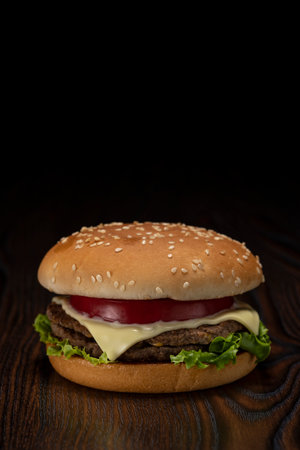 <p>Junk food image. Hamburger on dark background.</p>の写真素材