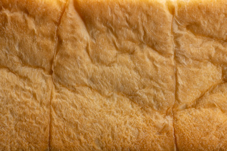 Bread texture closeup. Background image.の写真素材