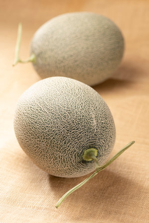 Close up of fresh green melonの写真素材