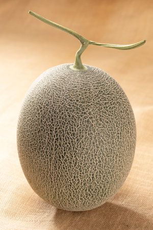 Close up of fresh green melonの写真素材