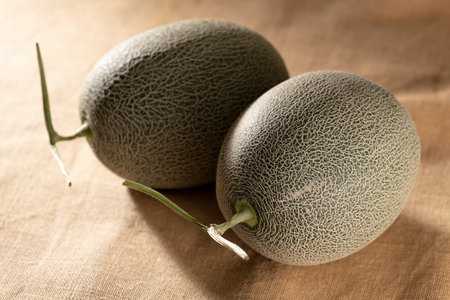 Close up of fresh green melonの写真素材