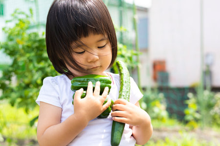 Little girl harvesting vegetables in the vegetable gardenの写真素材