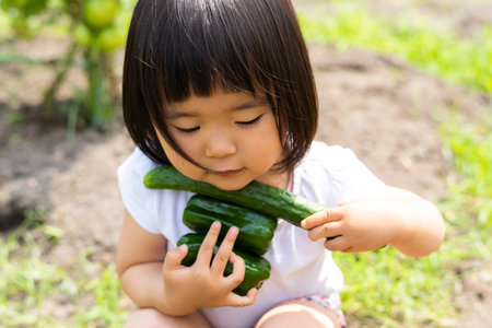 Little girl harvesting vegetables in the vegetable gardenの写真素材