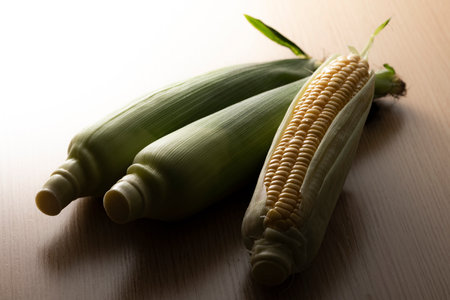 Fresh raw sweet corn.Sugo Taketa Oita Japan.の写真素材