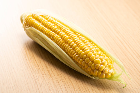 Fresh raw sweet corn.Sugo Taketa Oita Japan.の写真素材