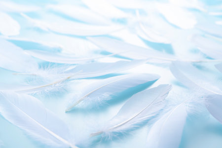Bird feathers falling on a light blue backgroundの写真素材