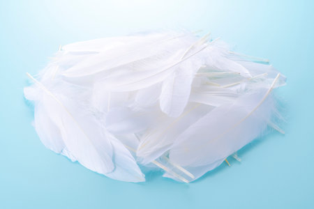 Bird feathers falling on a light blue backgroundの写真素材