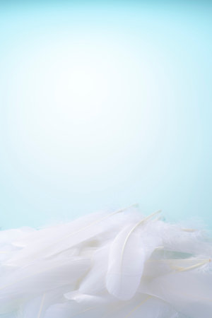 Bird feathers falling on a light blue backgroundの写真素材