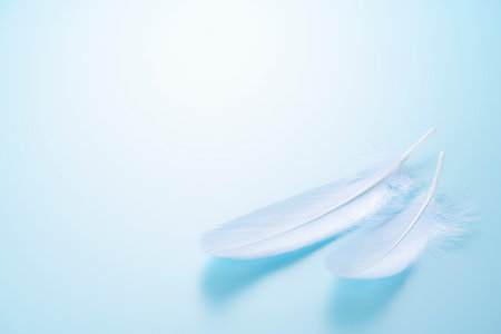 Bird feathers falling on a light blue backgroundの写真素材