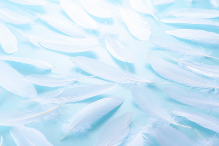 Bird feathers falling on a light blue backgroundの写真素材