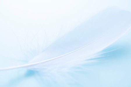 Bird feathers falling on a light blue backgroundの写真素材