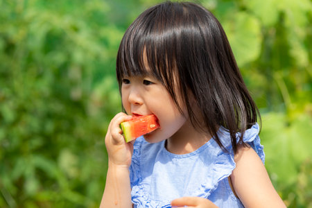 Little girl eating freshly picked watermelon in the fieldの写真素材