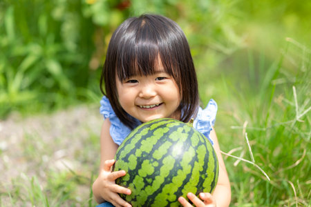 Little girl eating freshly picked watermelon in the fieldの写真素材