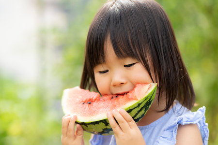 Little girl eating freshly picked watermelon in the fieldの写真素材
