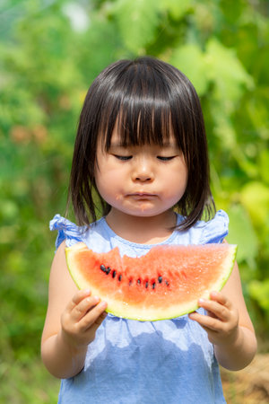 Little girl eating freshly picked watermelon in the fieldの写真素材