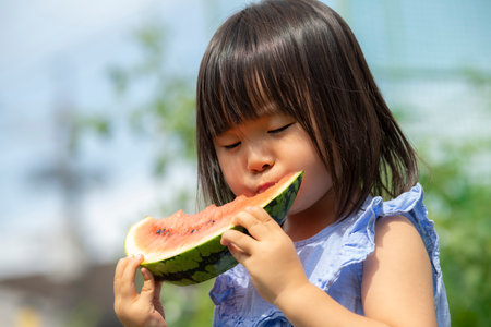 Little girl eating freshly picked watermelon in the fieldの写真素材