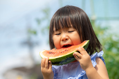 Little girl eating freshly picked watermelon in the fieldの写真素材