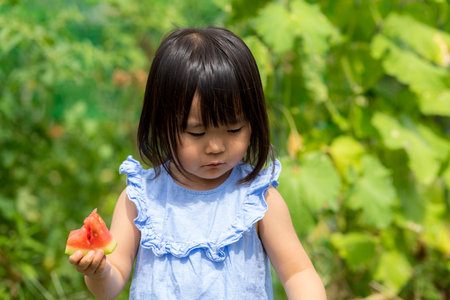 Little girl eating freshly picked watermelon in the fieldの写真素材