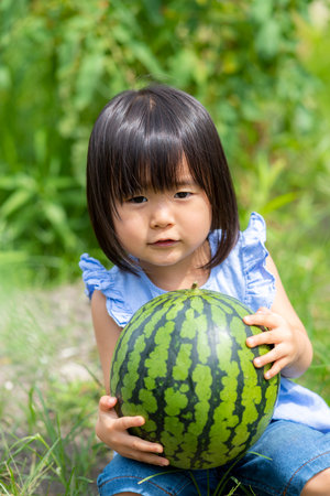 Little girl eating freshly picked watermelon in the fieldの写真素材
