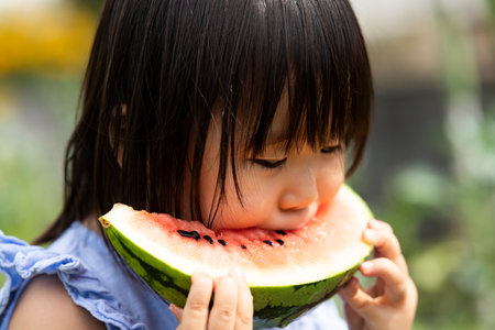 Little girl eating freshly picked watermelon in the fieldの写真素材