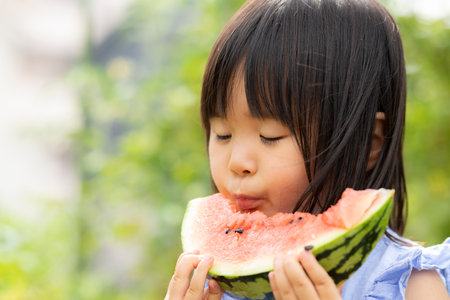 Little girl eating freshly picked watermelon in the fieldの写真素材