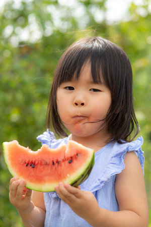 Little girl eating freshly picked watermelon in the fieldの写真素材