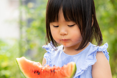 Little girl eating freshly picked watermelon in the fieldの写真素材