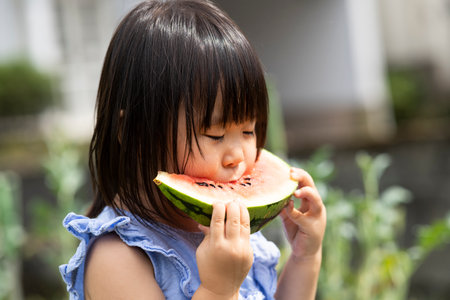 Little girl eating freshly picked watermelon in the fieldの写真素材