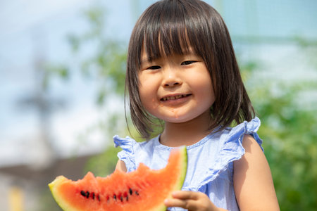 Little girl eating freshly picked watermelon in the fieldの写真素材