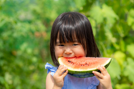 Little girl eating freshly picked watermelon in the fieldの写真素材