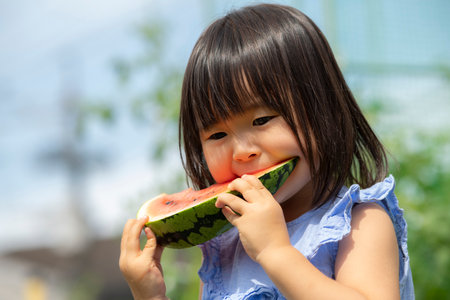 Little girl eating freshly picked watermelon in the fieldの写真素材
