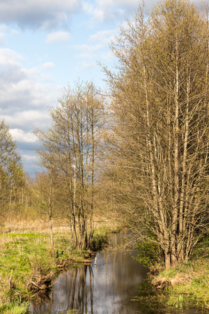 waterの写真素材