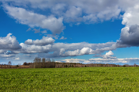 meadowの写真素材