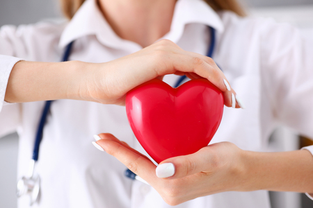 Female doctor hold in arms and cover red toy heart closeup. Cardio therapeutist, student education, CPR, 911 life save, physician make cardiac physical, pulse rate measure, arrhythmia, lifestyleの写真素材