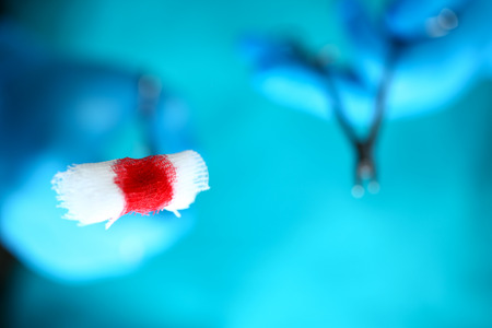 Surgeon in sterile uniform arms holding tools with bio materialの写真素材