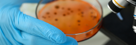 A male chemist holds test tube of glass in his hand