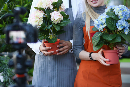 Florist Blogger Showing Hydrangea Flower on Cameraの写真素材