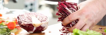 Male Chef Holding Sliced Chopped Purple Cabbageの写真素材