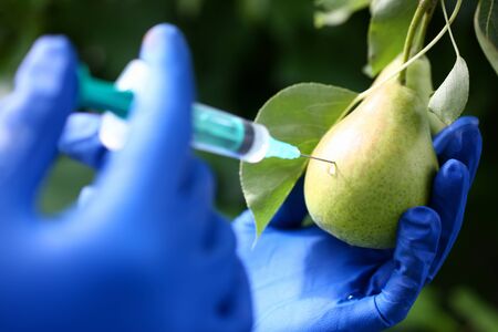 Female hands in blue protective gloves prickの写真素材