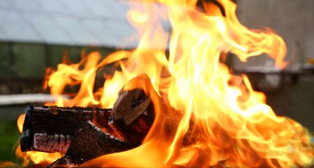 Hot charcoal bonfire orange background. Cooking in natural grill concept