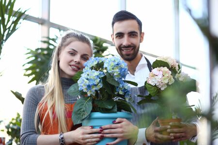 Man and Woman Florist Holding Hortensia Flower. Blonde Girl Holding Blue Hydrangea in Flowerpot. Smiling Male Gardener Showing White Blooming Plant with Green Leaves Looking at Camera Shotの写真素材
